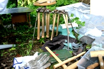 c0057781_1595450.jpg