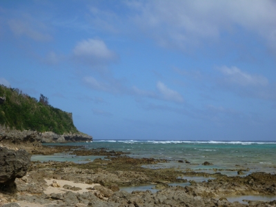 d0240983_2049116.jpg