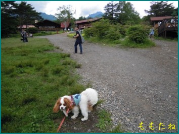 d0044986_23424146.jpg