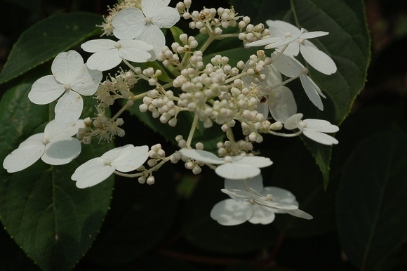 b0203588_11152913.jpg