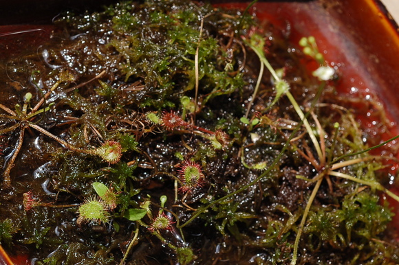 b0203588_1192794.jpg