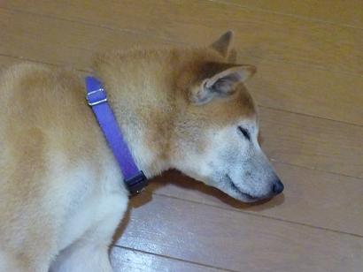 c0123890_21173267.jpg