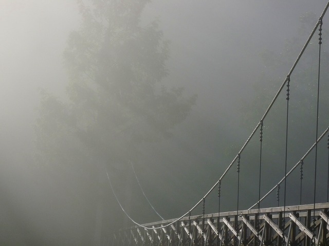 e0202393_7463777.jpg