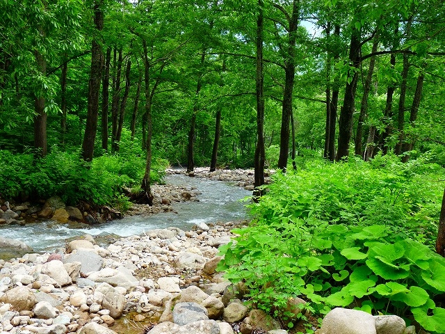 e0202393_750191.jpg