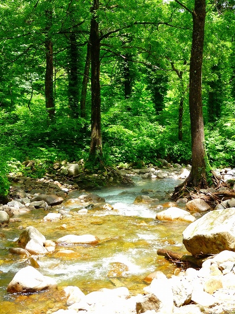 e0202393_7584345.jpg