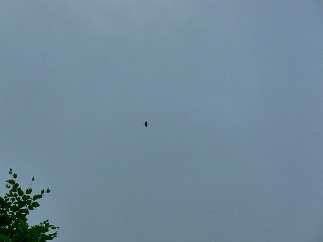 e0202393_81494.jpg