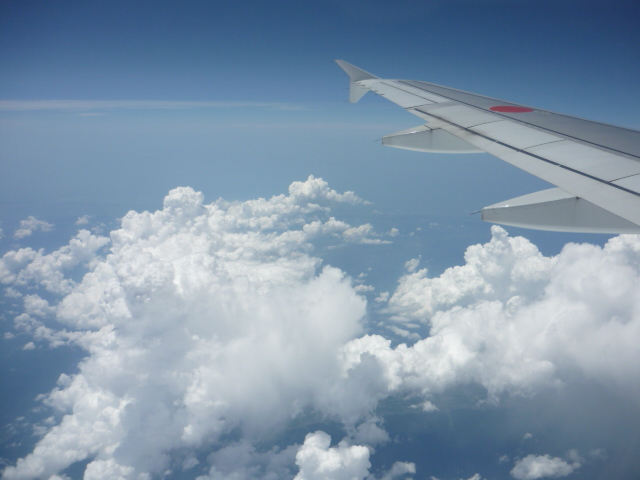 f0029393_6101016.jpg