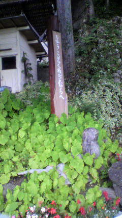 f0219994_8173019.jpg