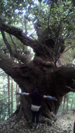 f0219994_8173070.jpg