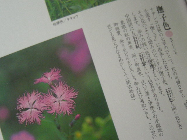 c0177198_14503995.jpg