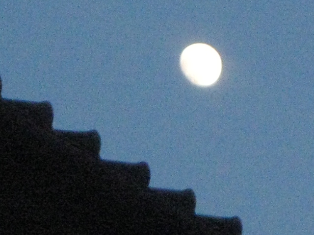 f0146802_0274469.jpg