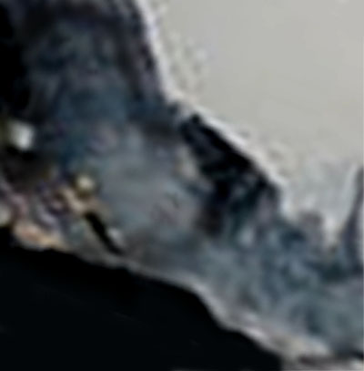 e0103408_0344246.jpg