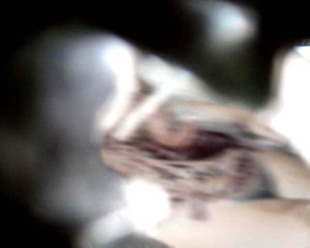 e0103408_1643554.jpg