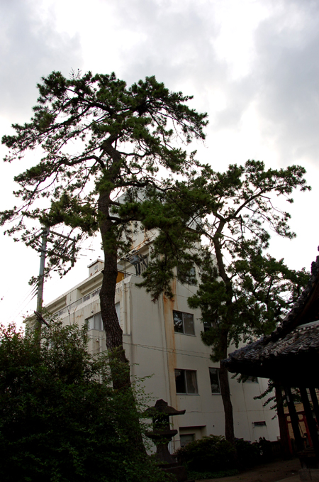 e0082110_0492471.jpg