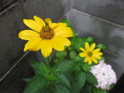 a0164011_19111195.jpg