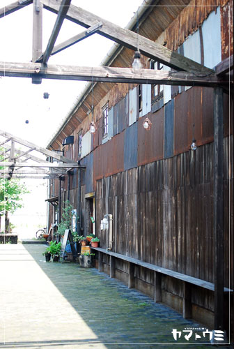 e0207511_228232.jpg