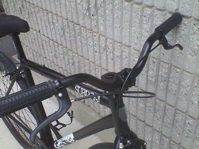 c0100318_16165393.jpg