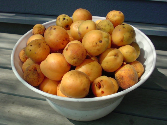 c0213619_623051.jpg