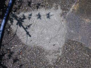 f0100920_11284959.jpg