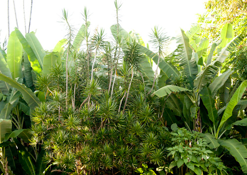 c0182022_21475554.jpg