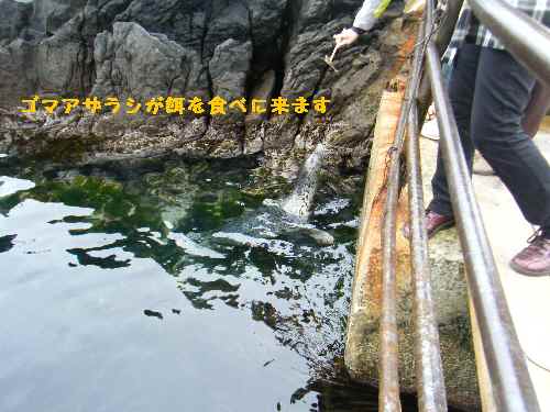 e0047322_22228.jpg