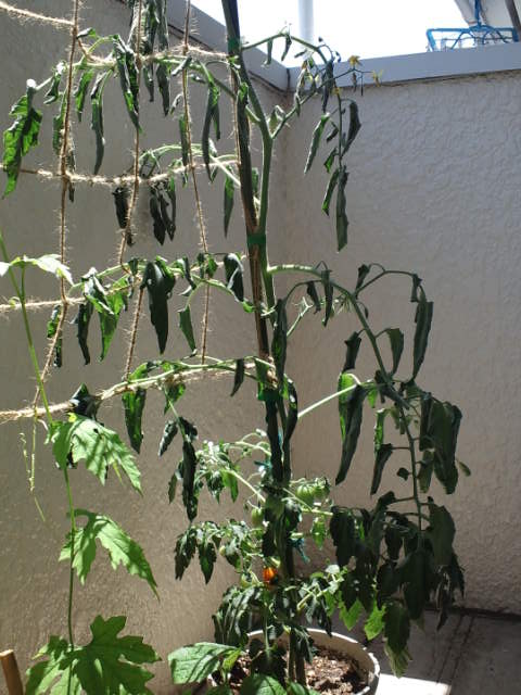 b0224629_1341097.jpg