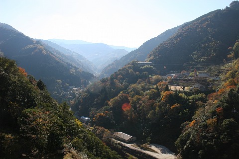 a0206332_682522.jpg