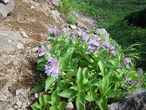f0118332_232310.jpg