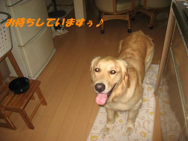 a0149240_10484091.jpg