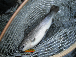 f0065341_1163562.jpg