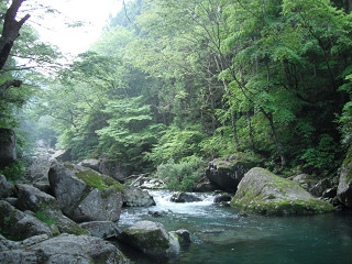 f0065341_1171780.jpg