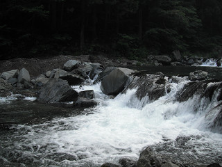f0065341_1181814.jpg