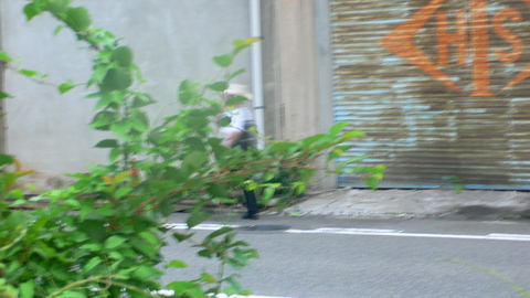 a0194942_1712860.jpg