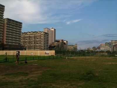 e0126046_841461.jpg