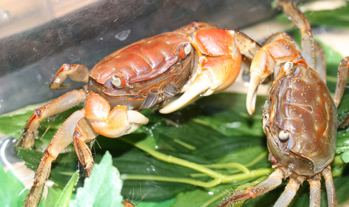 f0224952_214826100.jpg