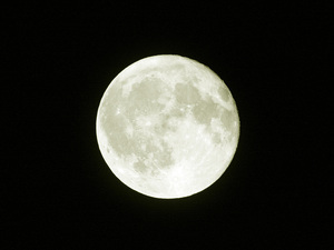 e0128955_8295866.jpg