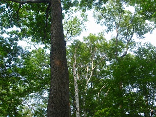 e0004756_16112771.jpg