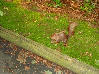 e0004756_1681285.jpg