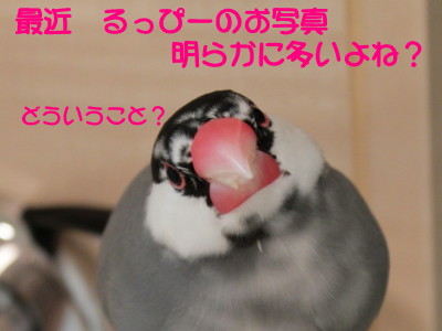 b0158061_2127935.jpg