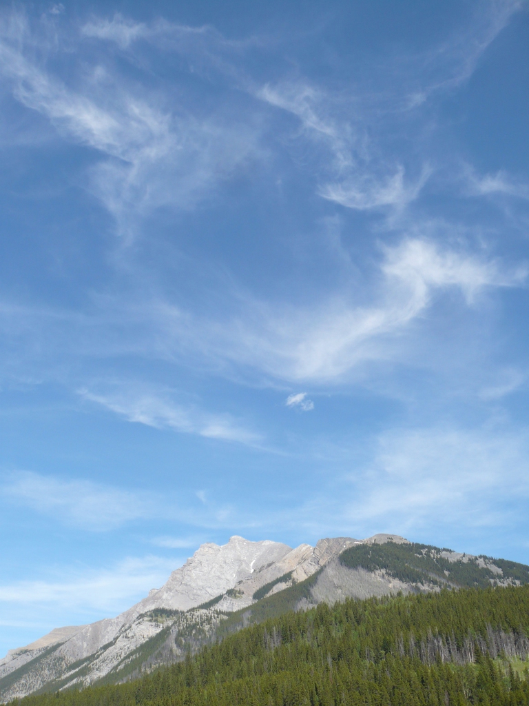 f0214562_1422935.jpg
