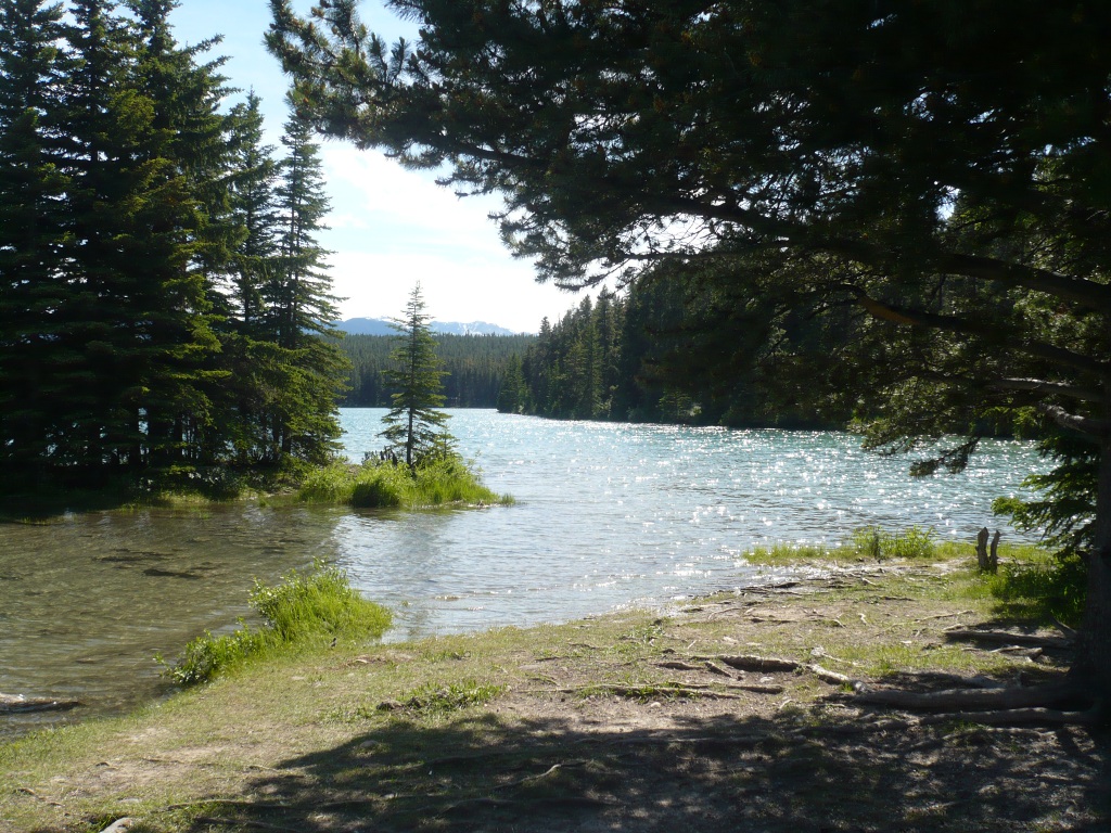 f0214562_14245383.jpg