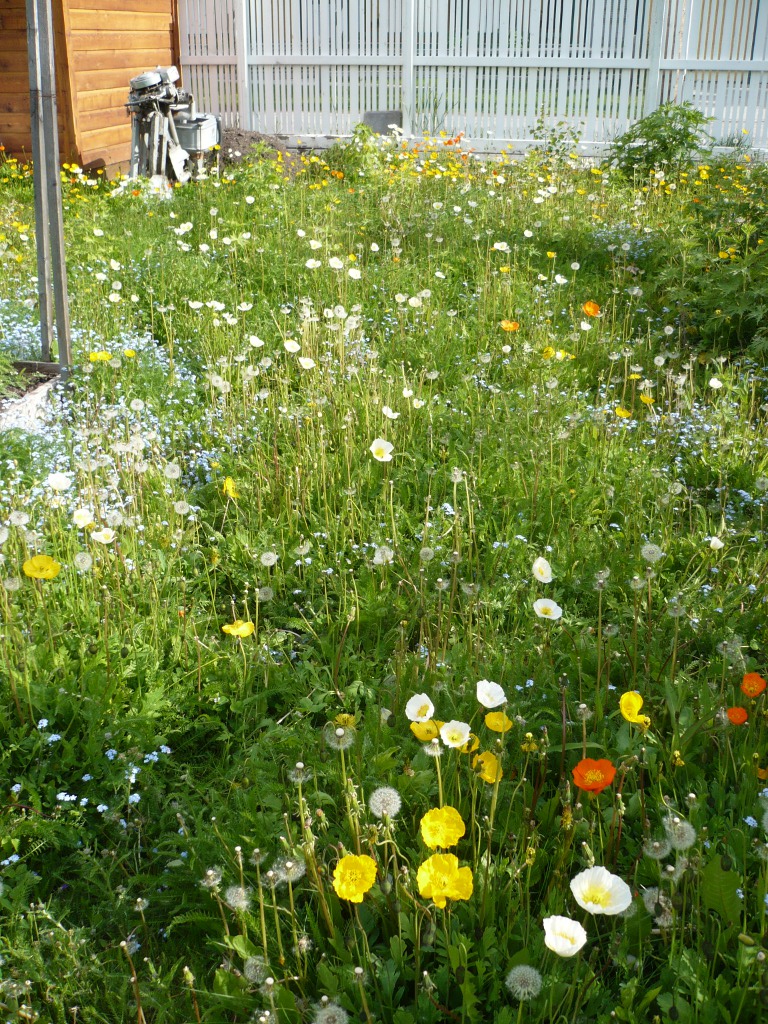 f0214562_14283349.jpg