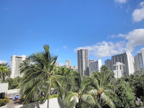 b0145863_0162719.jpg