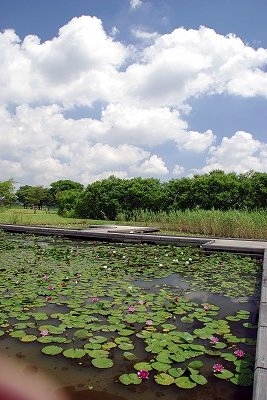 f0106664_2085618.jpg