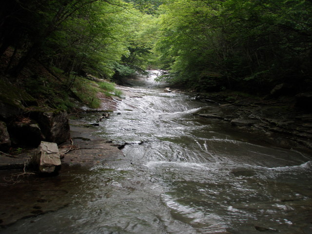 e0198274_21355981.jpg