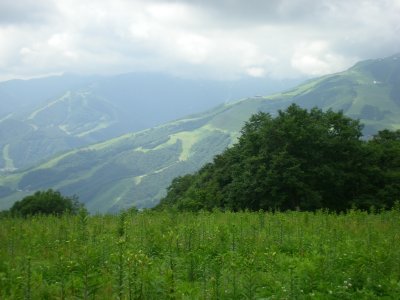 e0014678_20485386.jpg