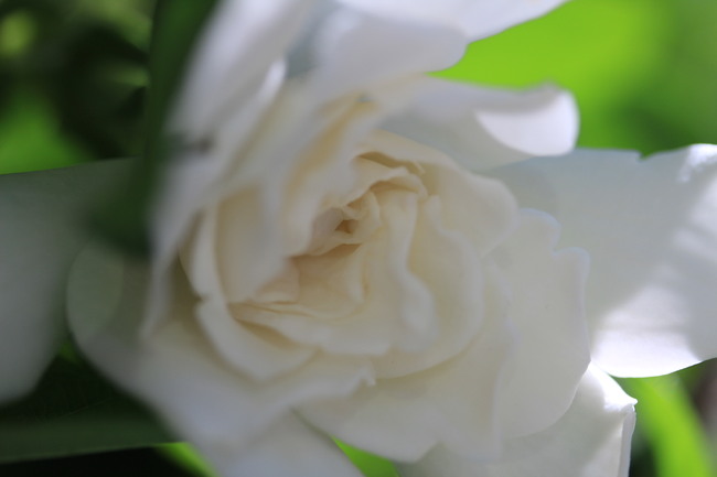 e0024081_14475853.jpg