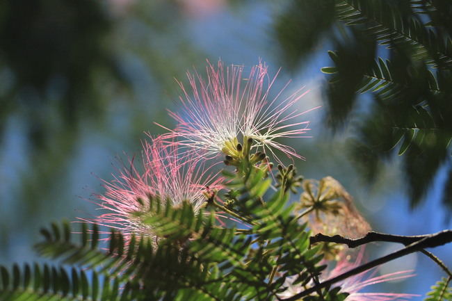 e0024081_1450730.jpg