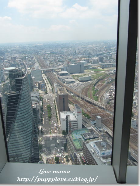 b0136683_2118112.jpg