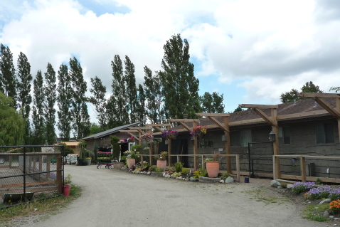d0129786_1332273.jpg